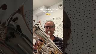 Practicando Bombardino 😀👌 trombon euphonium bombardino [upl. by Martijn]