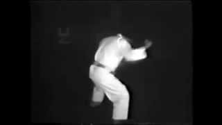 Nakazato Shūgorō  Chinto kata [upl. by Tabitha]