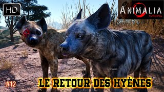 ANIMALIA SURVIVAL 12 LE NOUVEAU RETOUR DES HYÈNES DANS LA SAVANNE EN AFRIQUE [upl. by Stinson]