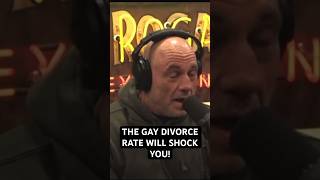 THE GAY DIVORCE RATE WILL SHOCK YOU [upl. by Ellehsram509]