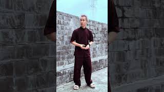 Out trình beneagle training kungfu martialarts fighting shaolin silat wushu taekwondo [upl. by Phillipp]