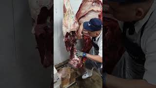 beef Deboning 🐄🐃🔪 hindquarteramp forequarter 🍖 beef [upl. by Eliot828]