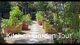 Potager Kitchen Garden Tour June 2022One Month Growth fruits Vegetables and Ornamentals [upl. by Dinan]