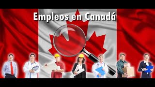 10 ofertas de empleo para julio de 2024 en Canadá [upl. by Weisburgh]