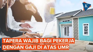 Pekerja dengan Gaji di Atas UMR Wajib Ikut Tapera [upl. by Searle973]