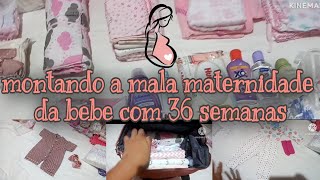 MONTANDO A MALA MATRNIDADE DA BEBE  mochila maternidade da shopee  mãe de segunda viagem [upl. by Waal]