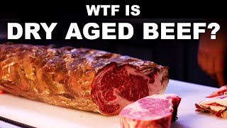 What is dry aged beef Since when is drier meat good [upl. by Ardnoid]