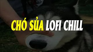 Lofi Tiếng Chó Sủa Cực Chill  Nhạc Lỏ Phi Chó Cãi Nhau Cả Đêm [upl. by Netty]