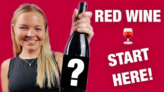 Pinot Noir  Best Red Wine for Beginners [upl. by Winola]