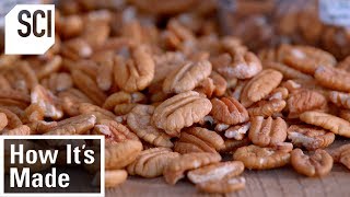 How Pecans Are Manufactured  How It’s Made [upl. by Meesaw]