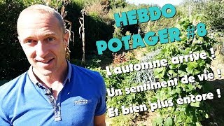 HEBDO POTAGER 8 [upl. by Kinney]