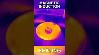 The Power of Magnetic Induction [upl. by Fayina303]