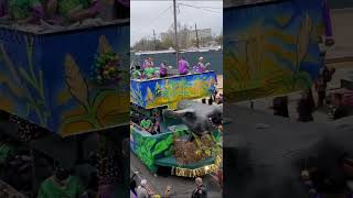 Mardi Gras 2024 from the Terreanians Mardi Gras Parade in Downtown Houma LA mardigras2024 [upl. by Dnomal345]