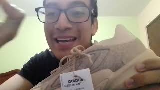 REVIEW  OPINIÓN ADIDAS OZELIA KNIT [upl. by Sigfried713]