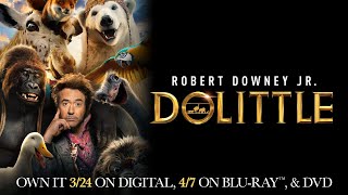 Dolittle  Trailer  Own it on Digital Bluray amp DVD [upl. by Burg]