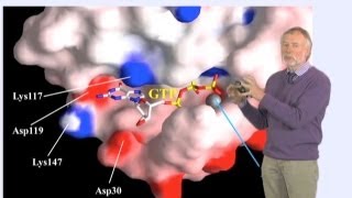 Alfred Wittinghofer MPI Part 2 GTPase Reactions and Diseases [upl. by Atinyl577]