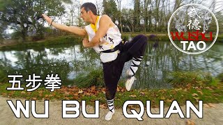 WU BU QUAN 五步拳  Démonstration Taolu  Kung Fu  Wushu Tao [upl. by Josselyn]