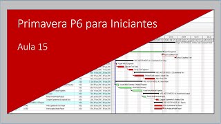 Curso Primavera P6 para Iniciantes Aula 15 primaverap6 [upl. by Ardnuaed]