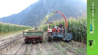 Grünfutterernte mit 2x Steyr Power SoundspecialFullHDGoPro [upl. by Lanni]