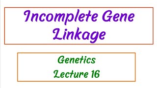 Incomplete Gene Linkage  Genetics Lecture 16 [upl. by Amann]