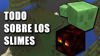 Todo sobre los Slimes  Minecraft en Español [upl. by June296]