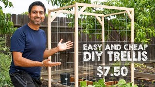 How to Make Easy and Cheap Trellis [upl. by Akenihs162]