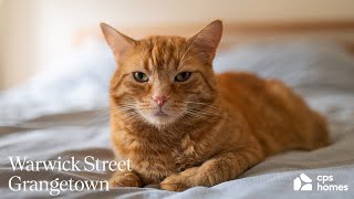 Warwick Street Grangetown  Cardiff  Property Video Tour [upl. by Adnahcal]