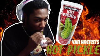 Van Holten’s Pickles Hot Pickle Review [upl. by Nordna]