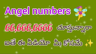 మీకు ఏంజెల్ నంబర్ 66 666 మరియు 6666 కనిపిస్తున్నాయా అయితే ఈ వీడియో మీ కోసమే ✨ [upl. by Jacklyn]