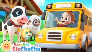 Las Ruedas del Autobús  Versión Animales de Granja 2  LiaChaCha en Español  Canciones Infantiles [upl. by Ahsiyt665]