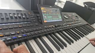 Korg Pa5x pa 5x Surle live Kosova curle tupan Shota [upl. by Ekeiram]