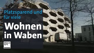 Wohnen in Waben – Platzsparend unter einem Dach für viele  Abendschau  BR24 [upl. by Aihn759]