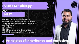 Heterozygous purple flower is crossed with recessive white flower The progeny has the ratio DP [upl. by Artaed]