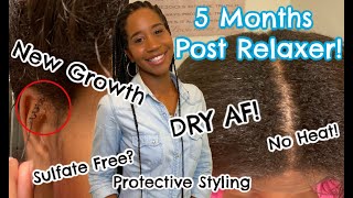 Transitioning to Natural Hair 5 Month Update  BLOOPERS WHY I STARTED A YOUTUBE CHANNEL [upl. by Kitchen]