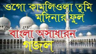 Bangla New Gojol 2019।Bangla Best Gojol।Bangla Islamic Song।gojol।bangla gojol।Sm Sofikul [upl. by Avlis100]