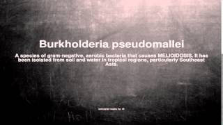 Medical vocabulary What does Burkholderia pseudomallei mean [upl. by Chucho]