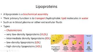 Lipids Classification  Lecture 7c [upl. by Rivers866]