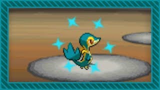 LIVE Shiny Snivy after 19524 SRs in White DTQ 1 [upl. by Halyak]