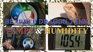 Our Bearded Dragon Tank Temperatures and Humidity Levels [upl. by Yahsel]