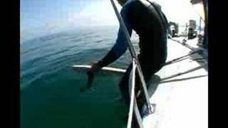 Steve Bigler Sailing and surfing California LRF3 [upl. by Aronle349]