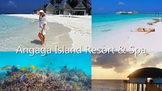 Angaga Island Resort amp Spa │ Malediven │ 2024 [upl. by Boj]