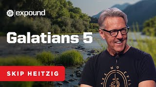 Galatians 5  Skip Heitzig [upl. by Nepil]