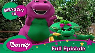 Barney  FULL Episode  Counting  Season 10 [upl. by Ybocaj]