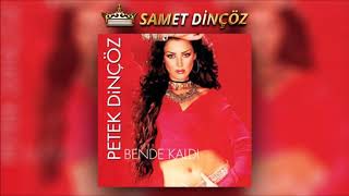 Petek Dinçöz  Bende Kaldı Remix 2001 [upl. by Seroled]