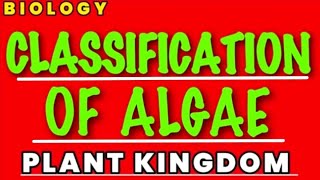 Classification of Algae  Plant Kingdom  class 11 biology [upl. by Enidlareg]