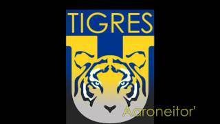 Draft 2016  Altas Bajas y Rumores del Tigres  CLAUSURA 2016 LigaMX [upl. by Ydnolem]