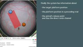 Morris Water Maze Search Strategy Scoring [upl. by Fruma]