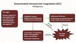 Thrombocytopenia Hemostasis  Lesson 8 [upl. by Aisel]