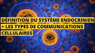 Endocrino01 définition du système endocrinien et les types de communication cellulaires [upl. by Eux913]