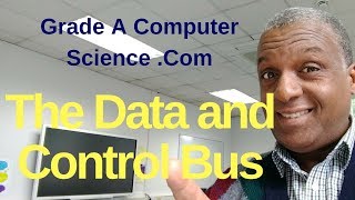 What does the Data Bus do  What does the Control Bus do [upl. by Maxwell]